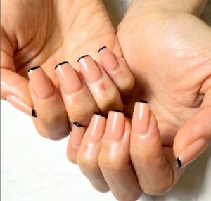 ネイル/パラジェルベース