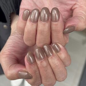 ワンカラー/ブラウン/ラメ